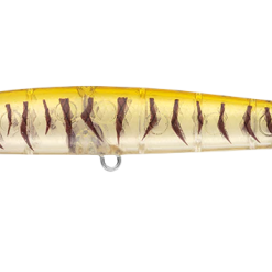 Daiwa Infeet Slippery Dog 97 13 Daiwa Infeet Slippery Dog 97 -Reels Shop DaiwaSlipperyDog97TacklewestHoneyBee