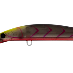 Daiwa Double Clutch 115SP 35 Daiwa Double Clutch 115SP -Reels Shop Daiwa Double Clutch Suji Berry