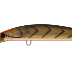 Daiwa Double Clutch 115SP 36 Daiwa Double Clutch 115SP -Reels Shop Daiwa Double Clutch Tannin Suji