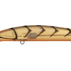 Daiwa Double Clutch 75SR 13 Daiwa Double Clutch 75SR -Reels Shop DaiwadoubleClutch75SRBrownSujiUV