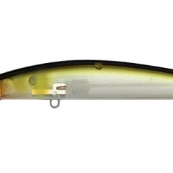 Daiwa Double Clutch 75SR 15 Daiwa Double Clutch 75SR -Reels Shop DaiwadoubleClutch75SRGhostAyu