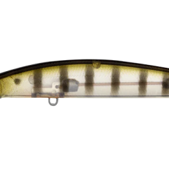 Daiwa Double Clutch 75SR 16 Daiwa Double Clutch 75SR -Reels Shop DaiwadoubleClutch75SRGhostPerch