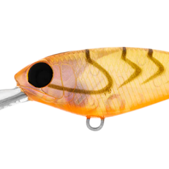 Daiwa Infeet Kodachi 40SF 14 Daiwa Infeet Kodachi 40SF -Reels Shop DaiwainfeetKodachi40FBrownSuji