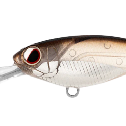 Daiwa Infeet Kodachi 40SF 15 Daiwa Infeet Kodachi 40SF -Reels Shop DaiwainfeetKodachi40FChromeBelly