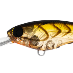 Daiwa Infeet Kodachi 40SF 16 Daiwa Infeet Kodachi 40SF -Reels Shop DaiwainfeetKodachi40FColaSuji