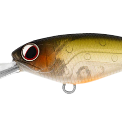 Daiwa Infeet Kodachi 40SF 17 Daiwa Infeet Kodachi 40SF -Reels Shop DaiwainfeetKodachi40FGhostAyu