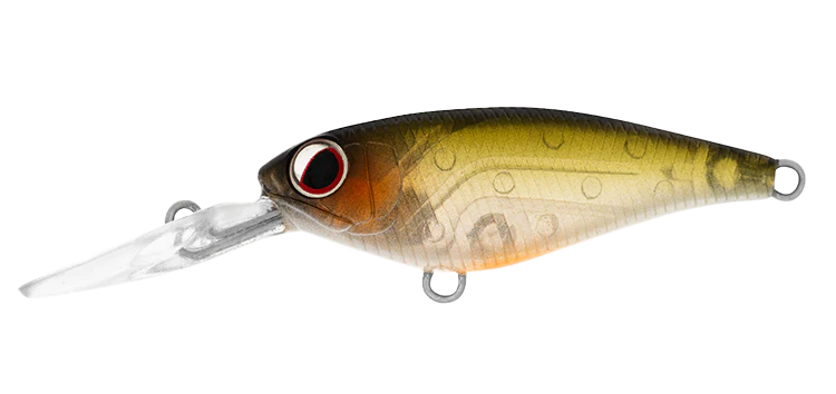 Daiwa Infeet Kodachi 40SF 6 Daiwa Infeet Kodachi 40SF - Image 6