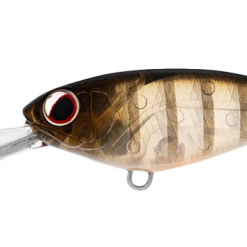 Daiwa Infeet Kodachi 40SF 18 Daiwa Infeet Kodachi 40SF -Reels Shop DaiwainfeetKodachi40FGhostPerch