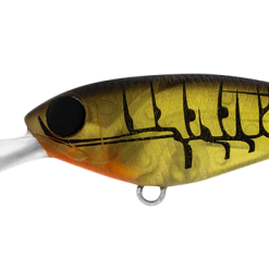 Daiwa Infeet Kodachi 40SF 19 Daiwa Infeet Kodachi 40SF -Reels Shop DaiwainfeetKodachi40FMatteOliveShrimp