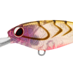 Daiwa Infeet Kodachi 40SF 20 Daiwa Infeet Kodachi 40SF -Reels Shop DaiwainfeetKodachi40FRoseSuji