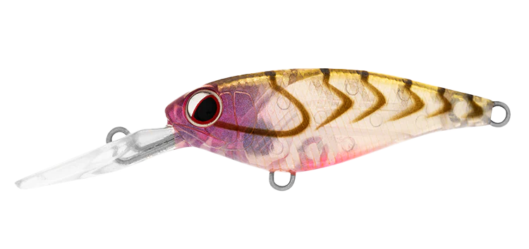 Daiwa Infeet Kodachi 40SF 9 Daiwa Infeet Kodachi 40SF - Image 9