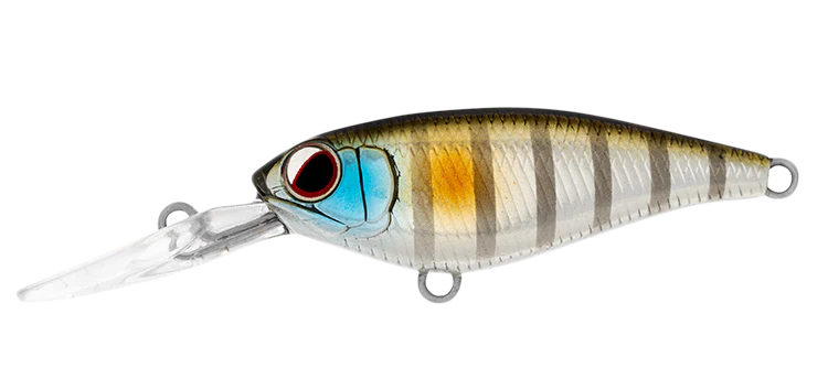 Daiwa Infeet Kodachi 40SF 10 Daiwa Infeet Kodachi 40SF - Image 10