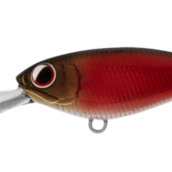 Daiwa Infeet Kodachi 40SF