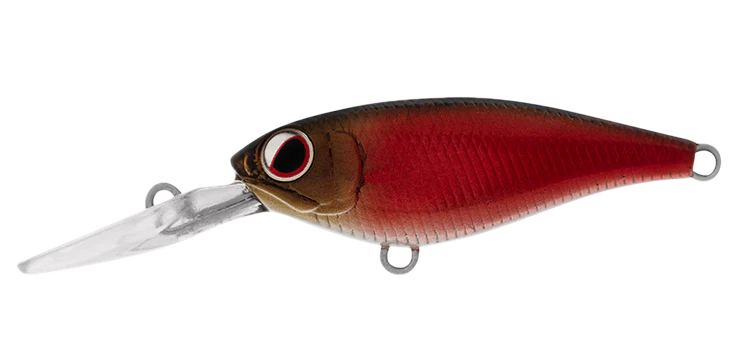 Daiwa Infeet Kodachi 40SF 1 Daiwa Infeet Kodachi 40SF