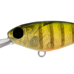 Daiwa Infeet Kodachi 40SF 22 Daiwa Infeet Kodachi 40SF -Reels Shop DaiwainfeetKodachi40FSunnyGill