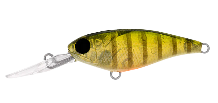 Daiwa Infeet Kodachi 40SF 11 Daiwa Infeet Kodachi 40SF - Image 11