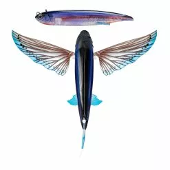 Nomad Slipstream Flying Fish 140 -Reels Shop FF ULS Ulysses