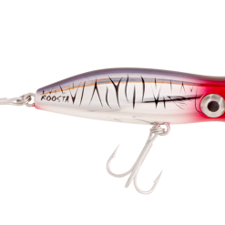 Halco Roosta Popper 80 13 Halco Roosta Popper 80 -Reels Shop HalcoRoosta80ChromeTiger