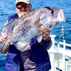 Vexed Bottom Meat Bundle -Reels Shop IMG 0235