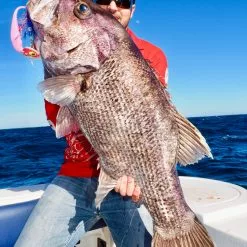 Vexed Dhu Bomb -Reels Shop IMG 3269