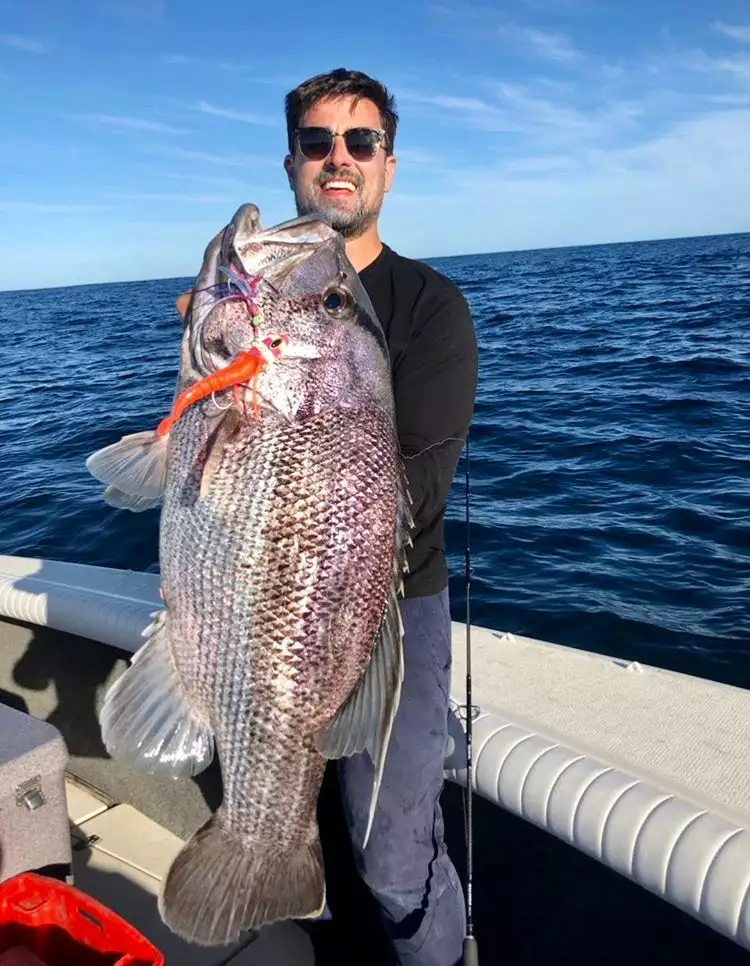 Hunt Tackle Kacka 10 Hunt Tackle Kacka - Image 10