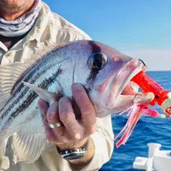 Hunt Tackle Kacka 26 Hunt Tackle Kacka -Reels Shop IMG 6441