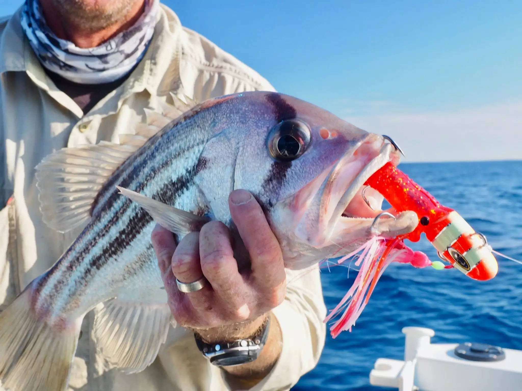 Hunt Tackle Kacka 13 Hunt Tackle Kacka - Image 13