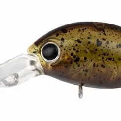 Daiwa Infeet Rolling Crank DR 18 Daiwa Infeet Rolling Crank DR -Reels Shop Infeet Rollin Crank DR Bloodworm 1080x dd8c0f56 acff 4c5f a508 6dad0ebde008