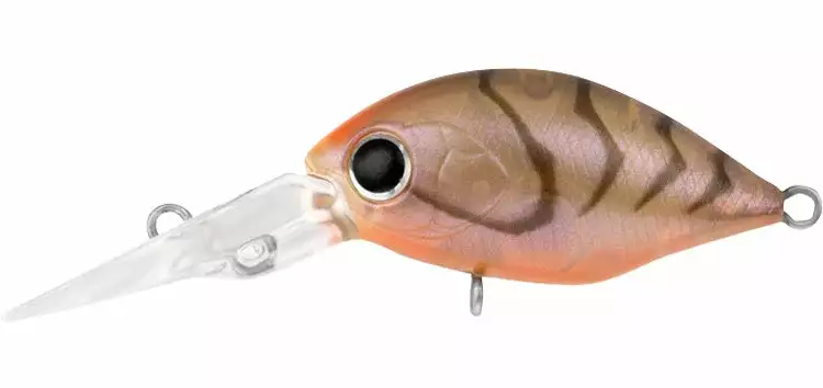 Daiwa Infeet Rolling Crank DR 5 Daiwa Infeet Rolling Crank DR - Image 5