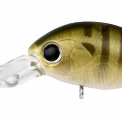 Daiwa Infeet Rolling Crank DR 26 Daiwa Infeet Rolling Crank DR -Reels Shop Infeet Rollin Crank DR SunnyGill 1080x db599d32 7cf3 45d9 9f90 59242a04faff