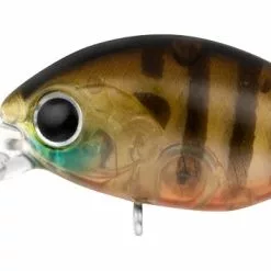 Daiwa Infeet Rolling Crank MR 21 Daiwa Infeet Rolling Crank MR -Reels Shop Infeet Rollin Crank MR ClearGill 1080x ff847696 04d8 43e5 9e71 69df1c4b2bb0