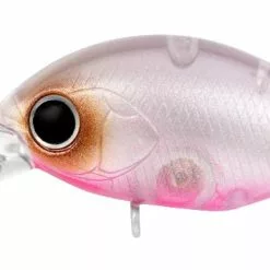 Daiwa Infeet Rolling Crank MR 22 Daiwa Infeet Rolling Crank MR -Reels Shop Infeet Rollin Crank MR Fubuki 1080x d645b875 b2d1 4582 8c05 c41f429f7313