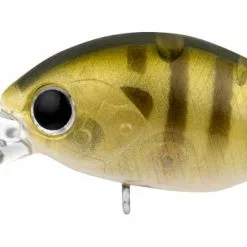 Daiwa Infeet Rolling Crank MR 27 Daiwa Infeet Rolling Crank MR -Reels Shop Infeet Rollin Crank MR SunnyGill 1080x 8068ee22 b372 4b4e 8780 1402f5f040eb