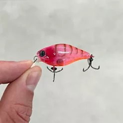 Jackall Chubby 38F Shallow 7 Jackall Chubby 38F Shallow -Reels Shop JAckallChubby38FPinksujuShrimp