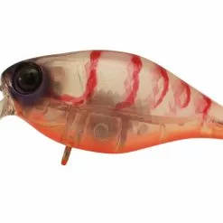 Jackall Chubby 38F Shallow