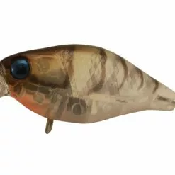 Jackall Chubby 38F Shallow 6 Jackall Chubby 38F Shallow -Reels Shop JackallChubby38FGhostShrimp