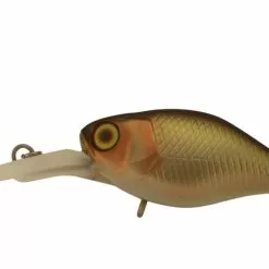 Jackall Chubby 38F MR