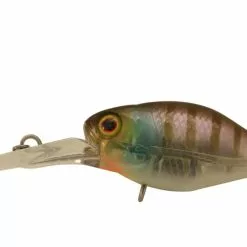 Jackall Chubby 38F Deep 8 Jackall Chubby 38F Deep -Reels Shop JackallChubbyDeep38FGhostGill