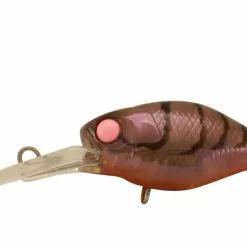 Jackall Chubby 38F Deep 10 Jackall Chubby 38F Deep -Reels Shop JackallChubbyDeep38FPink Eye Shrimp