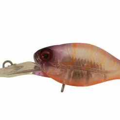 Jackall Chubby 38F Deep