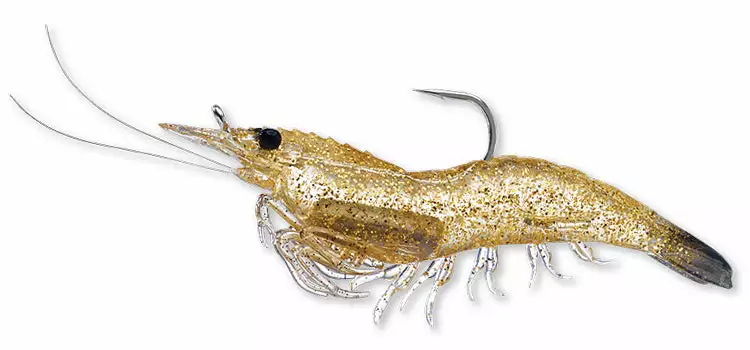 Live Target Shrimp 2 Live Target Shrimp - Image 2