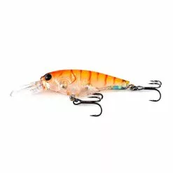 Ecogear SX48F -Reels Shop P3180065 scaled