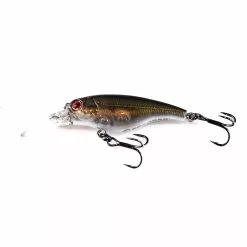 Ecogear SX40F -Reels Shop P3180073