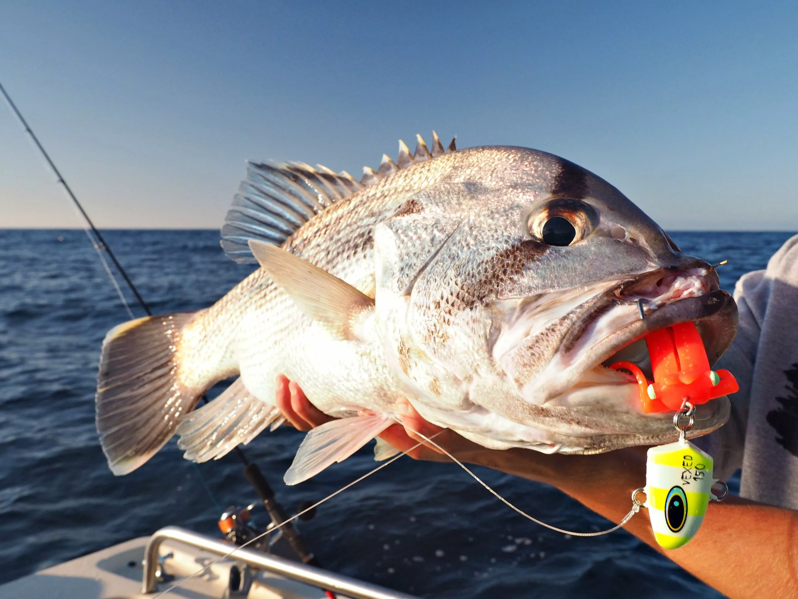 Hunt Tackle Kacka 11 Hunt Tackle Kacka - Image 11