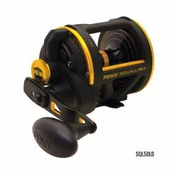 PENN Squall Lever Drag 6 PENN Squall Lever Drag -Reels Shop PennSquallReel50