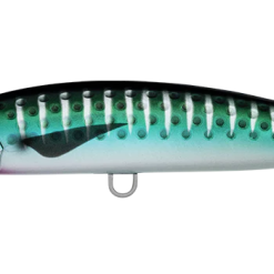 Daiwa Saltiga Rough Ride 140F -Reels Shop SHORESPARTANROUGHRIDESARDINE 1080x 0002 DAIWA SALTIGA ROUGH RIDE 160F SAURY 1080x 2688b31b e855 46fc 880d 4ce632d3af2f