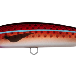 Daiwa Saltiga Rough Ride 160F 10 Daiwa Saltiga Rough Ride 160F -Reels Shop SHORESPARTANROUGHRIDESARDINE 1080x 0004 DAIWA SALTIGA ROUGH RIDE 160F RED FLASH 1080x fcfc00fa 5597 4611 acea 65bca0034b94