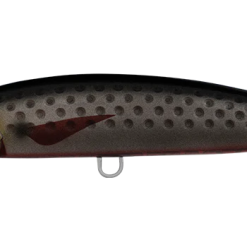 Daiwa Saltiga Rough Ride 140F -Reels Shop SHORESPARTANROUGHRIDESARDINE 1080x 0006 DAIWA SALTIGA ROUGH RIDE 160F BRF 1080x 1510702e 57b5 4bcf aa17 89657d0e96db