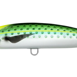 Daiwa Saltiga Rough Ride 160F 13 Daiwa Saltiga Rough Ride 160F -Reels Shop SHORESPARTANROUGHRIDESARDINE 1080x 0007 DAIWA SALTIGA ROUGH RIDE 160F BANANA 1080x a8abd571 3b6b 40ec a0ed e77733c2bf34