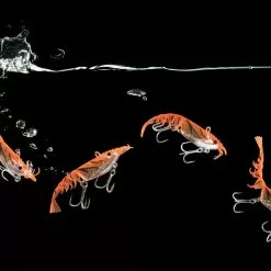 Berkley Shimma Shrimp -Reels Shop ShimmaShrimptacklewest